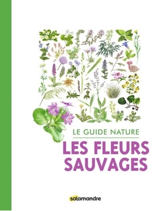 Le Guide Nature Les Fleurs Sauvages
