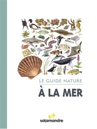 Image - Le Guide Nature A la Mer - Salamandre