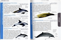 Le guide nature a la mer page mammifères