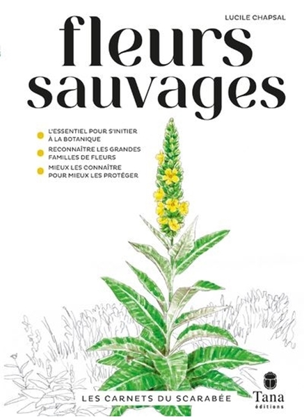 Les Carnets Du Scarabée : Fleurs Sauvages - Couverture