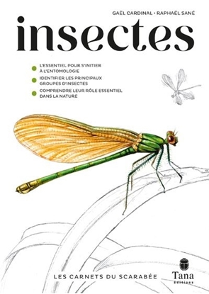 Les Carnets Du Scarabée : Insectes - Couverture