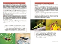 Les Carnets Du Scarabée : Insectes - Espèces