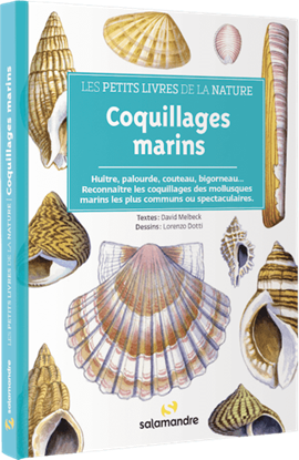 Couverture  Les petits livres de la nature - Coquillages marins