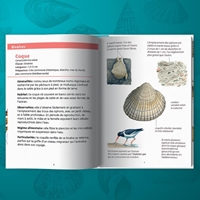 Les petits livres de la nature - Coquillages marins