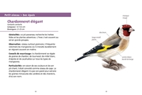 Les petits livres de la nature - Oiseaux des mangeoires 