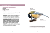 Les petits livres de la nature - Oiseaux des mangeoires 