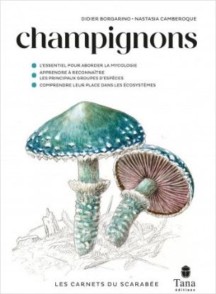 Les carnets du scarabée : champignons