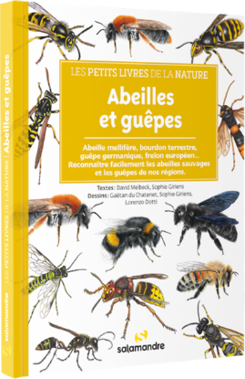 Image de Les petits livres de la nature - Abeilles et guêpes