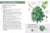 Image de Les petits livres de la nature - Arbres