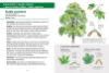 Image de Les petits livres de la nature - Arbres