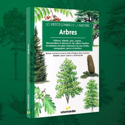 Image de Les petits livres de la nature - Arbres