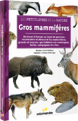 Image de Les petits livres de la nature - Gros mammifères