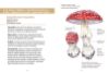 Image de Les petits livres de la nature - Champignons des forêts