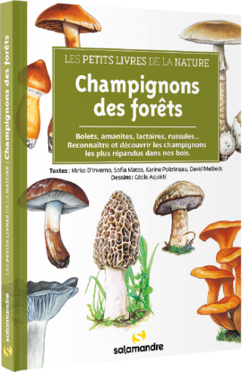 Image de Les petits livres de la nature - Champignons des forêts