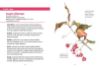 Image de Les petits livres de la nature - Baies et petits fruits