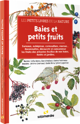 Image de Les petits livres de la nature - Baies et petits fruits