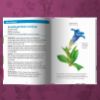Image de Les petits livres de la nature - Fleurs des montagnes