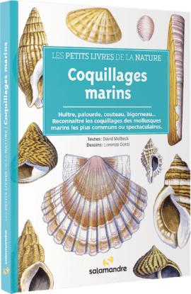 Image de Les petits livres de la nature - Coquillages marins