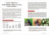 Image de Les carnets du scarabée : insectes
