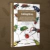 Image de Les petits livres de la nature - Coléoptères
