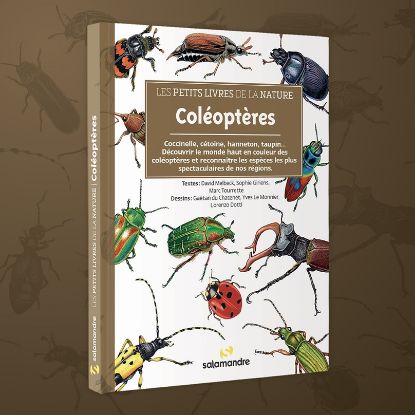 Image de Les petits livres de la nature - Coléoptères