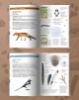 4 eme Couverture > Les petits livres de la nature - Traces d'animaux